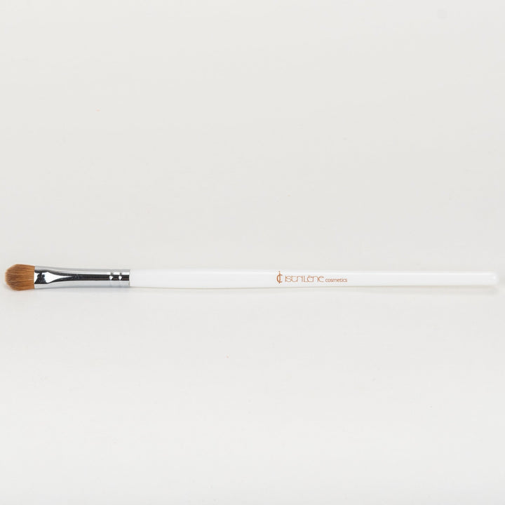 Eyeshadow Brush